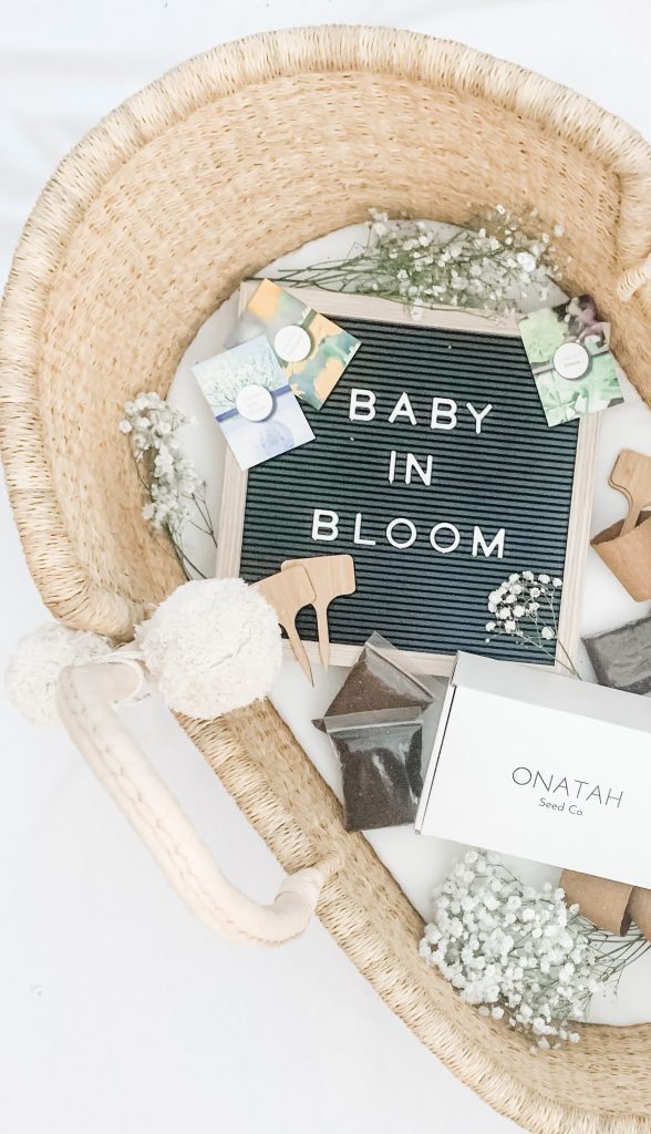 Baby in Bloom Letterboard with garden in a box
